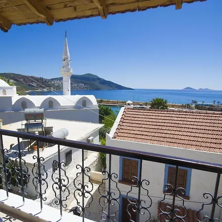 Kleo * Kalkan